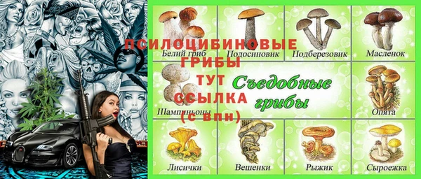 дмт Балахна