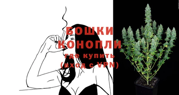 стаф Белокуриха