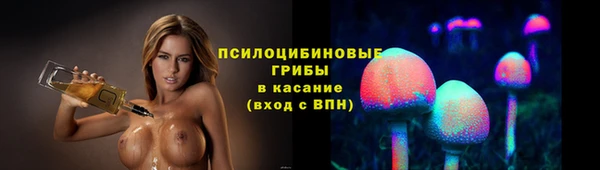 стаф Белокуриха