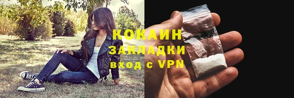 стаф Белокуриха