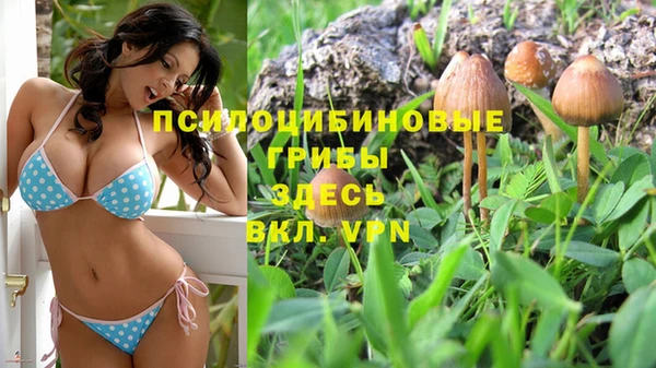 дмт Балахна