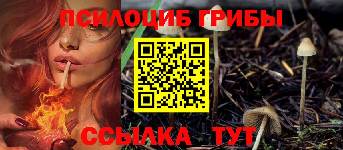 Псилоцибиновые грибы MAGIC MUSHROOMS Верхний Уфалей