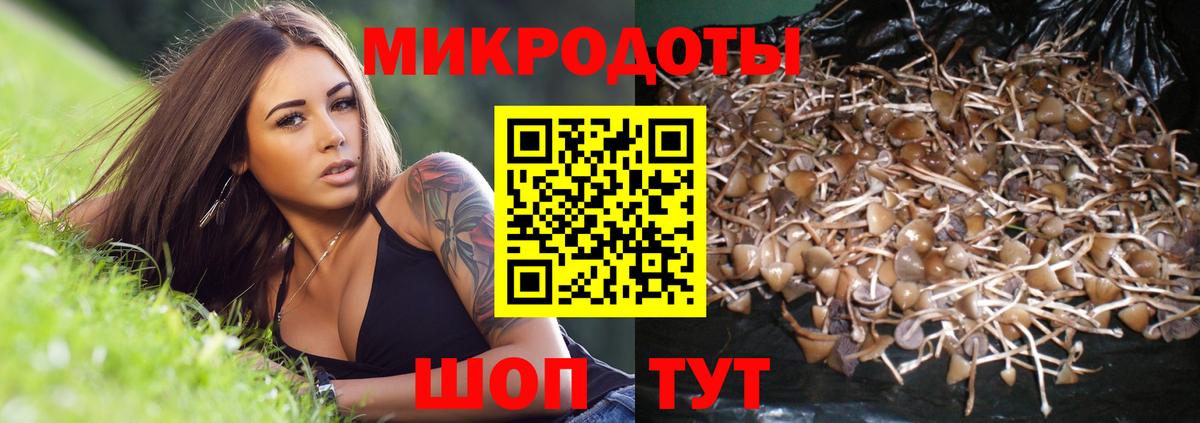 Псилоцибиновые грибы MAGIC MUSHROOMS Верхний Уфалей